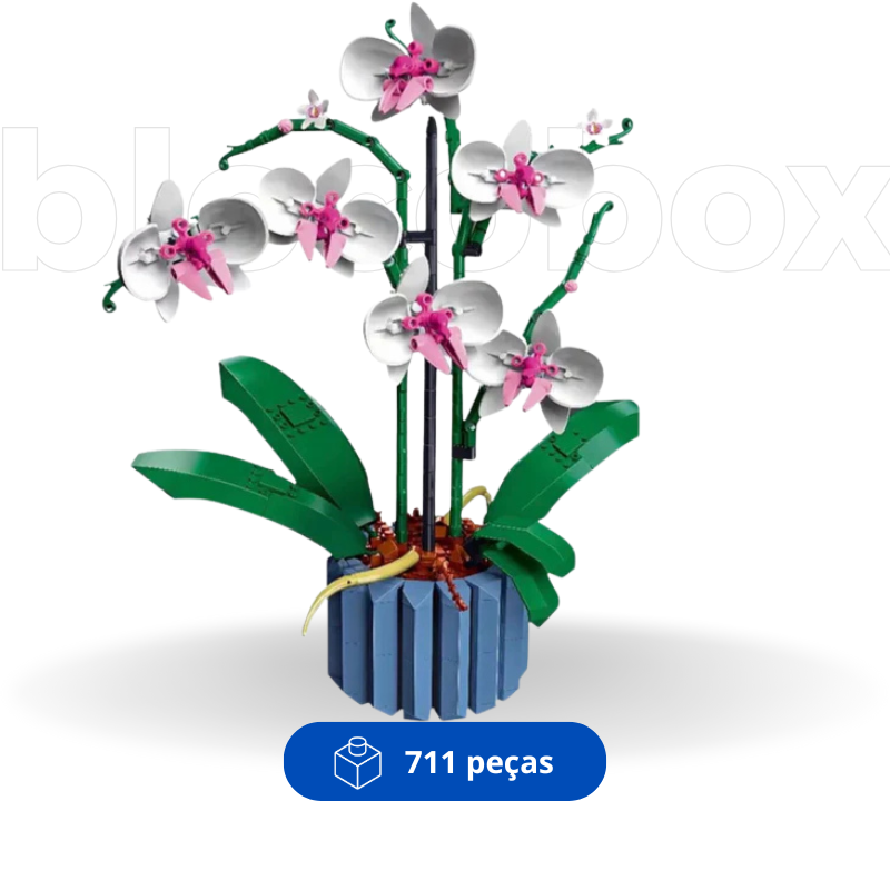 Orquídeas | 711PCS